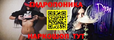 крисы Бузулук